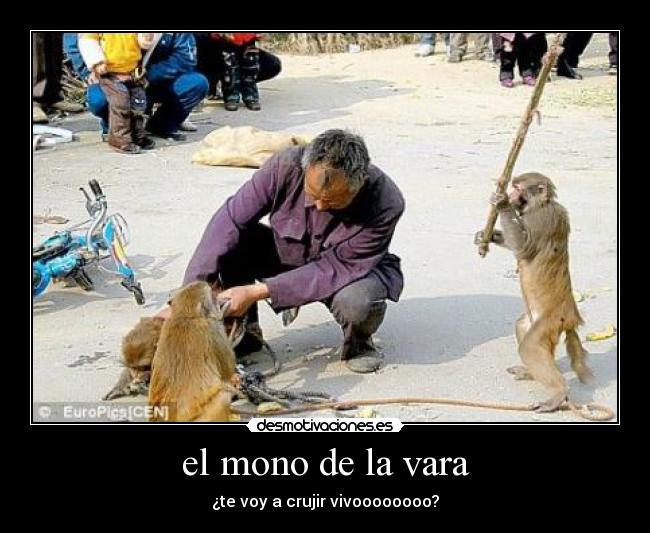 carteles mono vara desmotivaciones