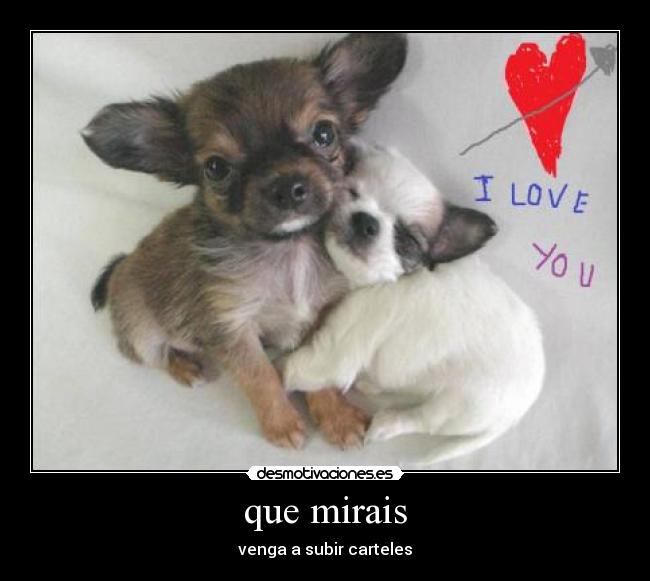 que mirais - 