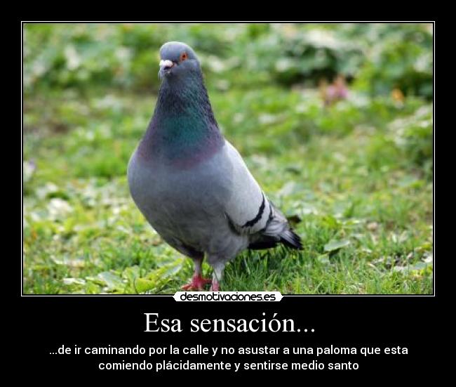 carteles guille desmotivaciones