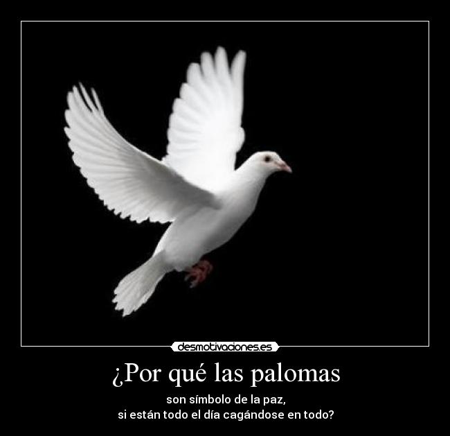 carteles desmotivaciones desmotivaciones