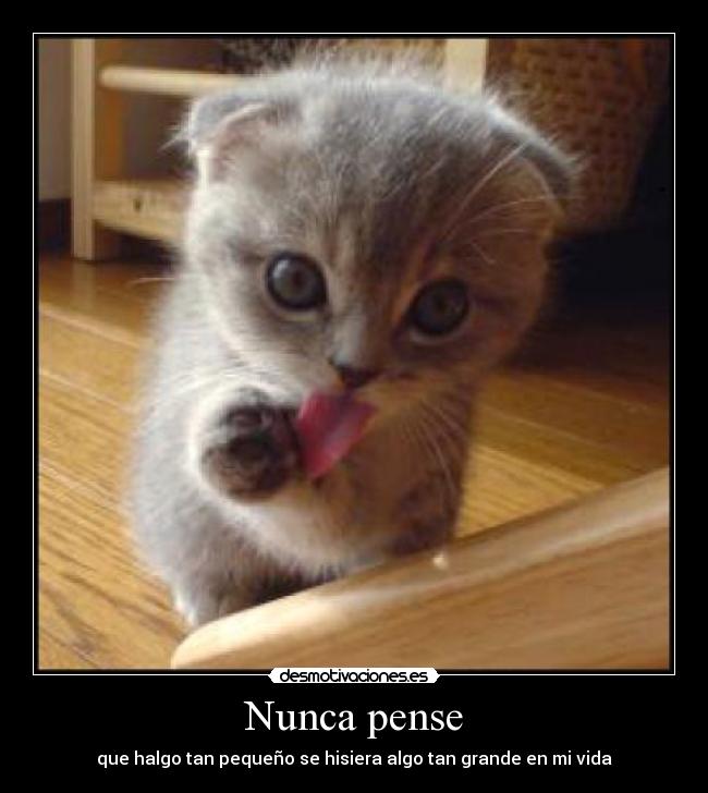 Nunca pense -