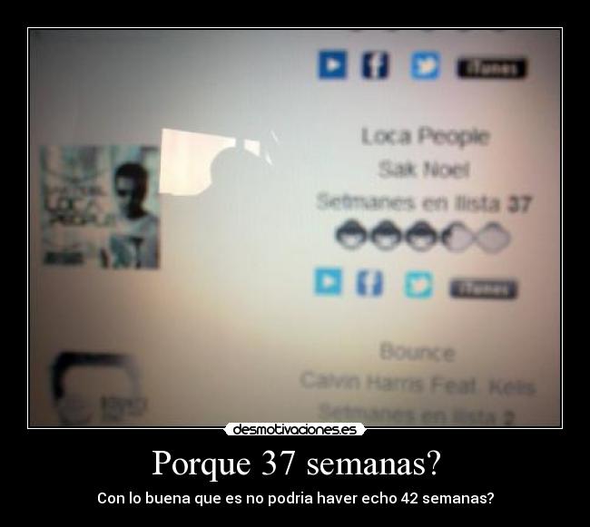 Porque 37 semanas? - Con lo buena que es no podria haver echo 42 semanas?