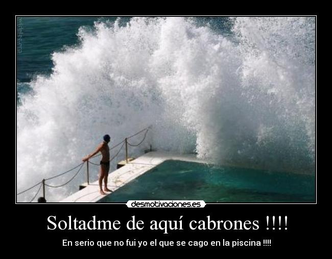 Soltadme de aquí cabrones !!!! - En serio que no fui yo el que se cago en la piscina !!!!