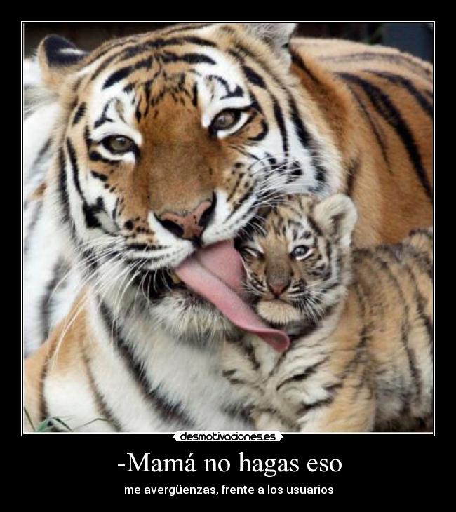 carteles sonrie nato nato2011 verguenza usuarios desmotivaciones