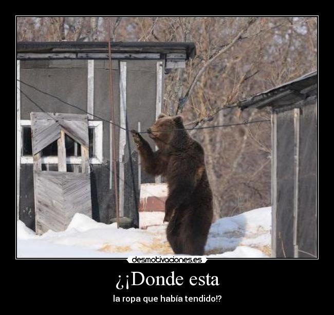 ¿¡Donde esta -