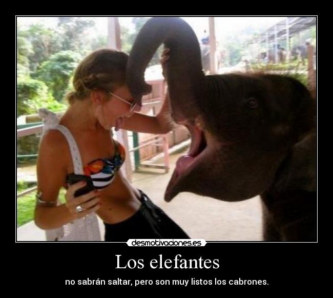 Los elefantes - 
