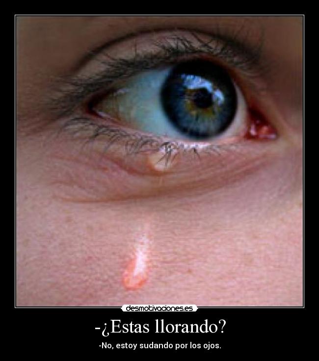 -¿Estas llorando? - -No, estoy sudando por los ojos.