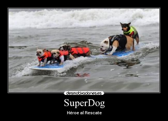 SuperDog - Héroe al Rescate
