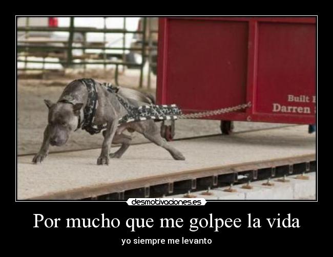 Por mucho que me golpee la vida -