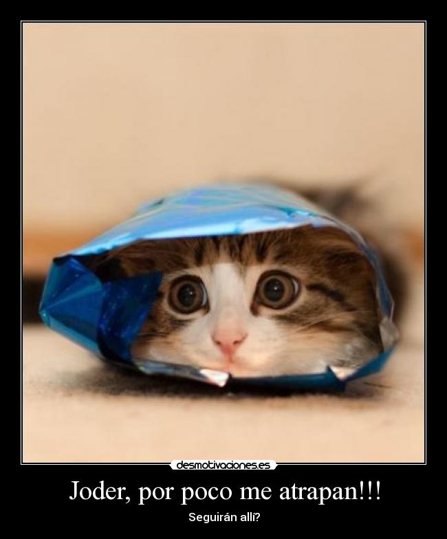 Joder, por poco me atrapan!!! - 