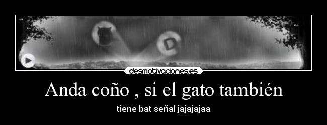 Anda coño , si el gato también -