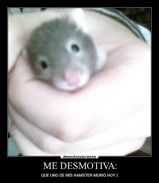 ME DESMOTIVA: - QUE UNO DE MIS HAMSTER MURIÓ HOY ):