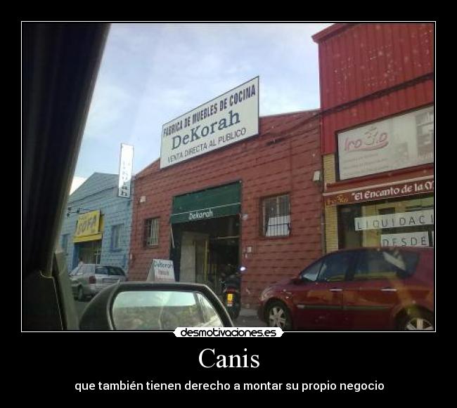 Canis - que también tienen derecho a montar su propio negocio