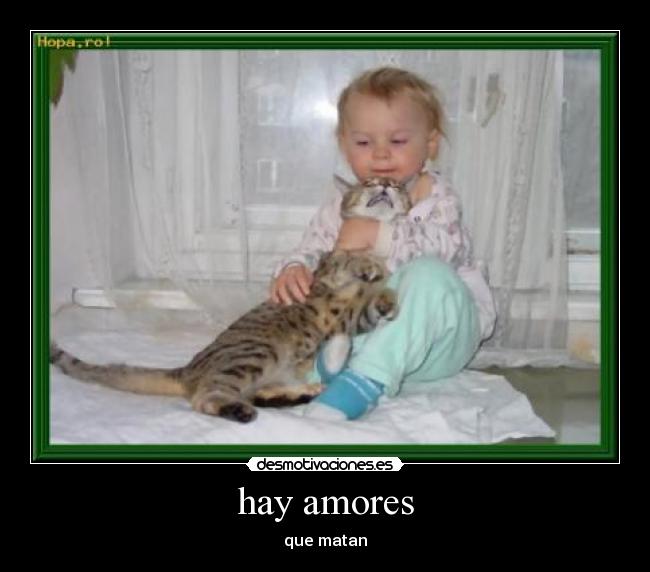 hay amores -