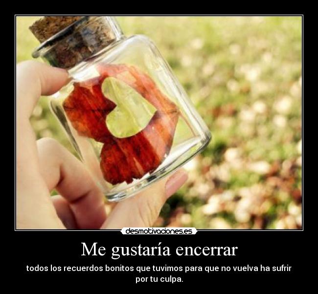 Me gustaría encerrar - 
