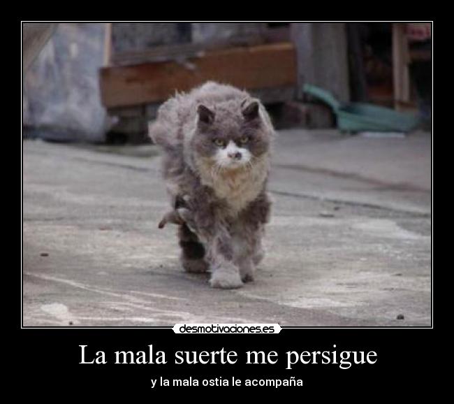La mala suerte me persigue - y la mala ostia le acompaña