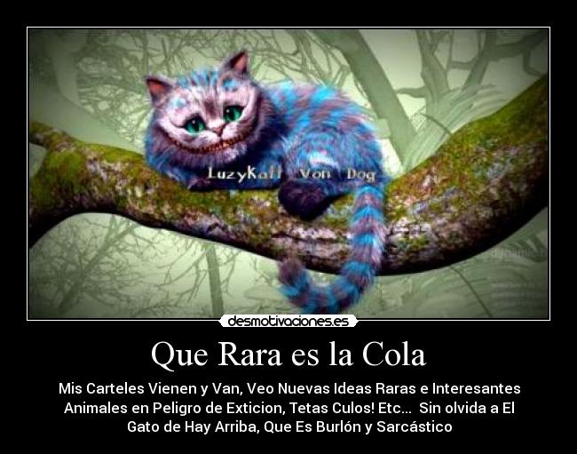 Que Rara es la Cola - 