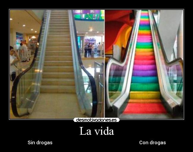 La vida -