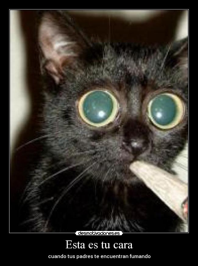 Esta es tu cara - cuando tus padres te encuentran fumando