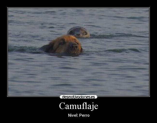 Camuflaje -