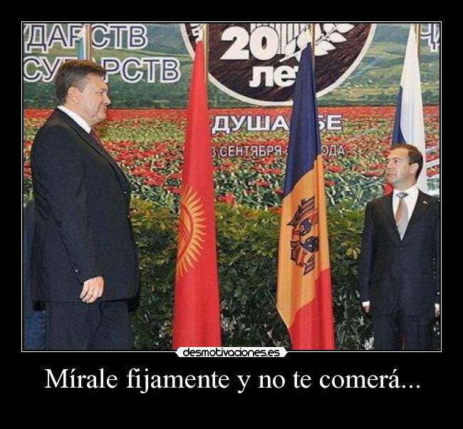 Mírale fijamente y no te comerá... - 