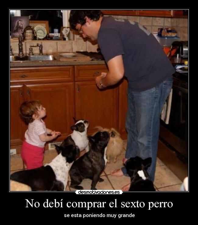 No debí comprar el sexto perro -