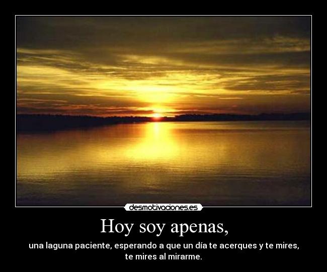 Hoy soy apenas, - una laguna paciente, esperando a que un día te acerques y te mires,
te mires al mirarme.