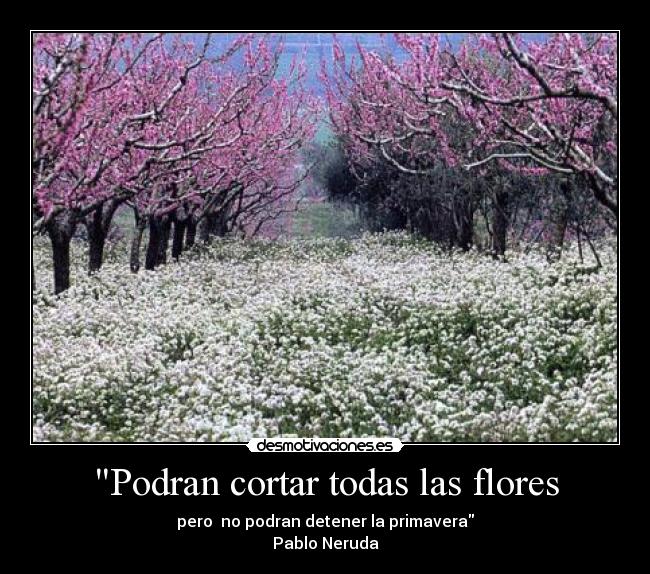 Podran cortar todas las flores - pero  no podran detener la primavera
Pablo Neruda