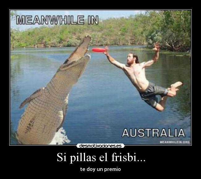 Si pillas el frisbi... - 