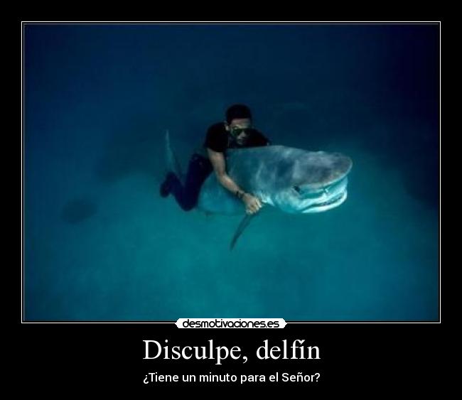 Disculpe, delfín - ¿Tiene un minuto para el Señor?