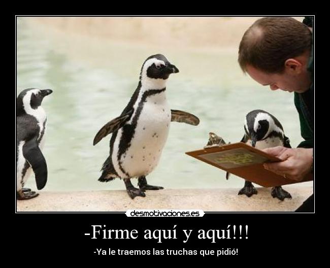 carteles maeckos10 desmotivaciones