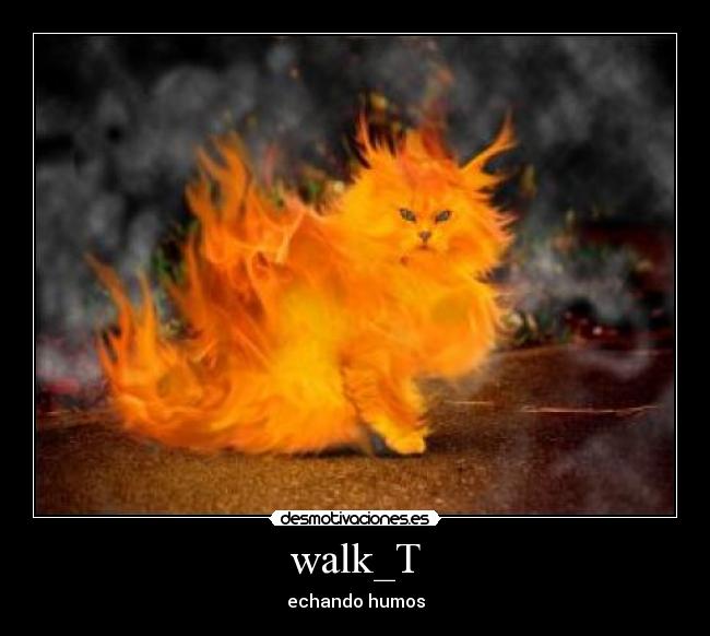walk_T -