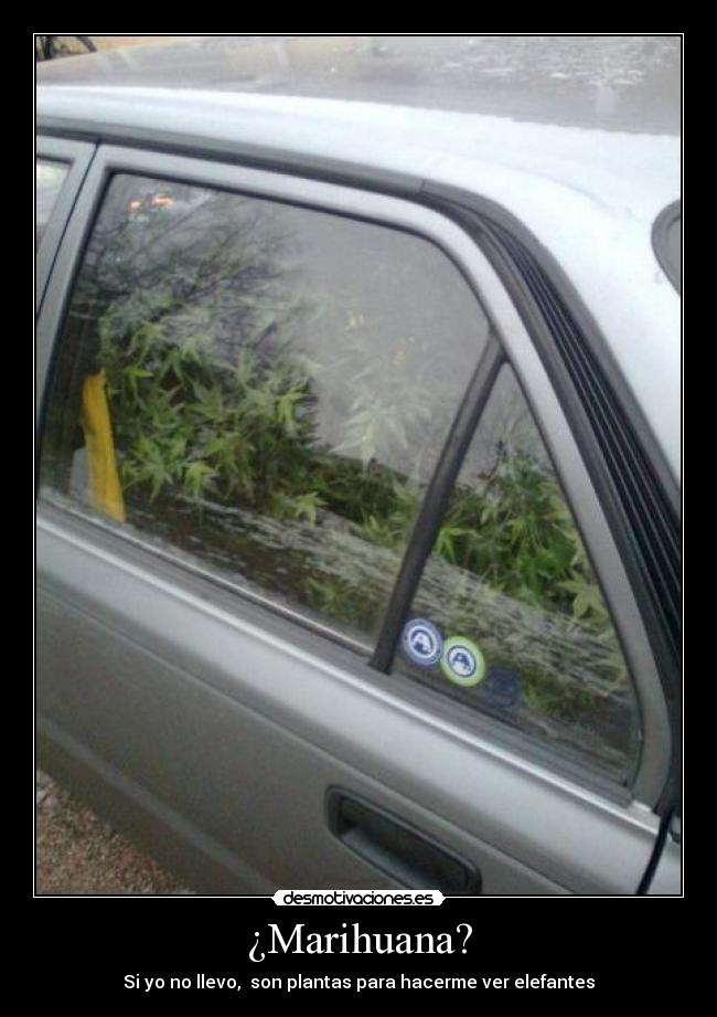 carteles marihuana hierba desmotivaciones