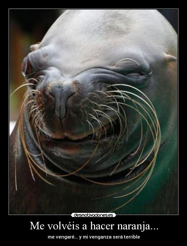 Me volvéis a hacer naranja... - 