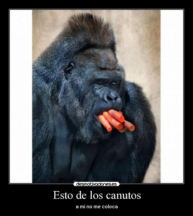 Esto de los canutos -