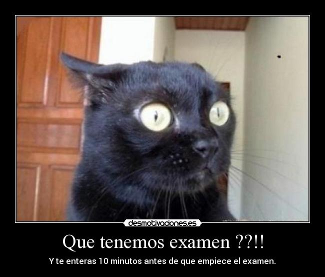 Que tenemos examen ??!! -