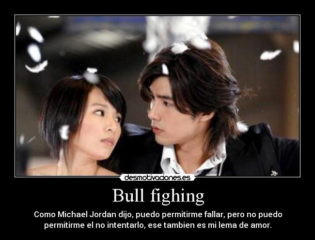 Bull fighing - 