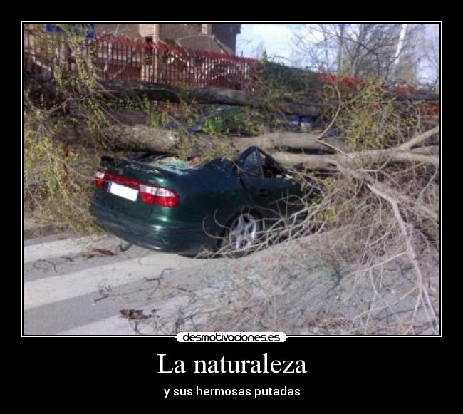 carteles naturaleza desmotivaciones
