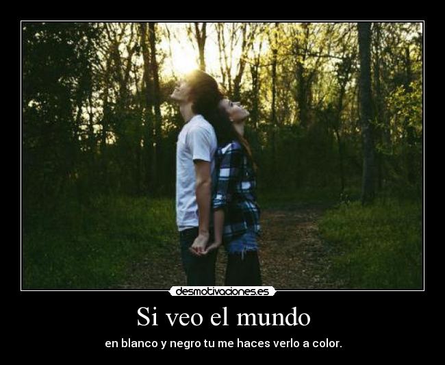 Si veo el mundo -