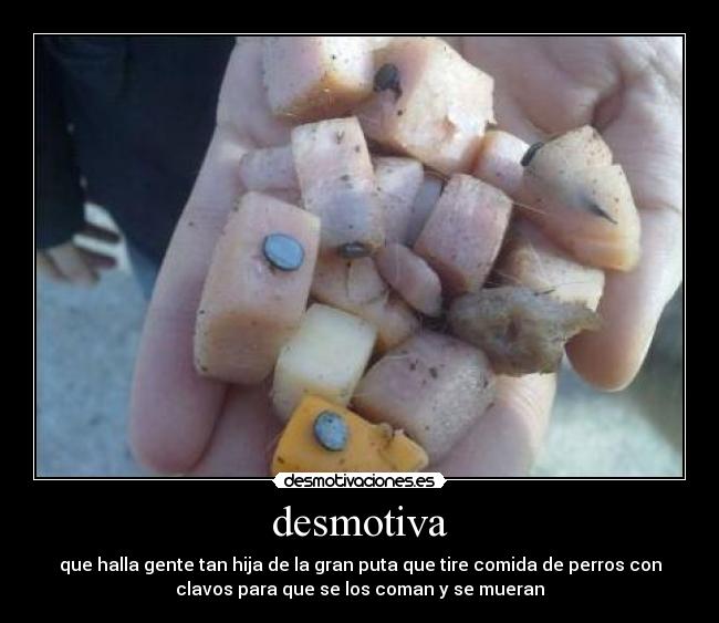 desmotiva - que halla gente tan hija de la gran puta que tire comida de perros con
clavos para que se los coman y se mueran