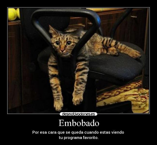 Embobado - 