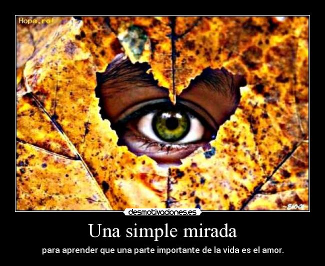 carteles mirada ensenado que amor forma parte vida desmotivaciones