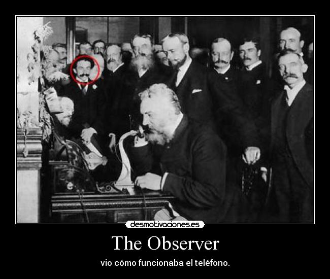 The Observer - 