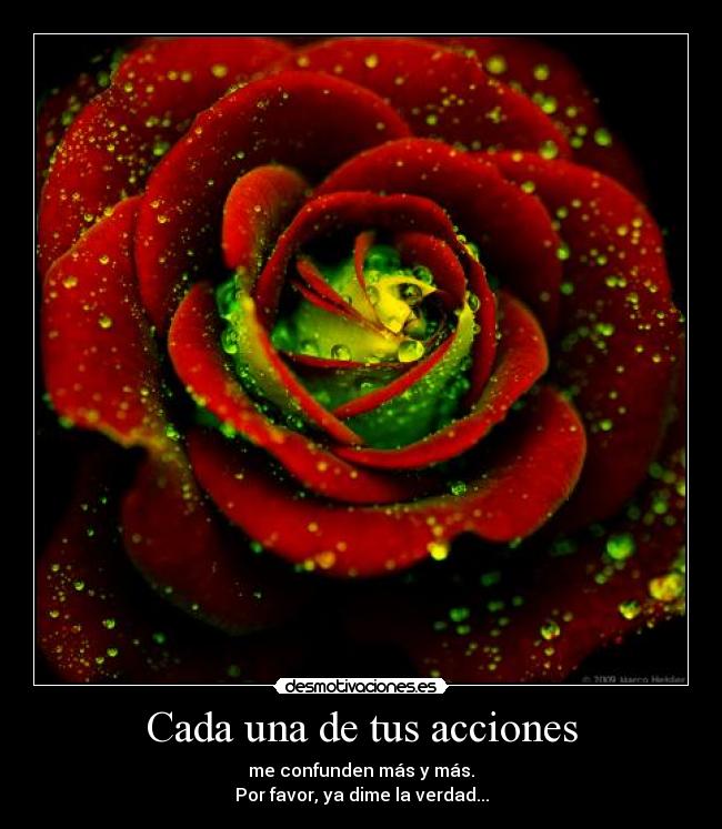 Cada una de tus acciones - me confunden más y más.
Por favor, ya dime la verdad...