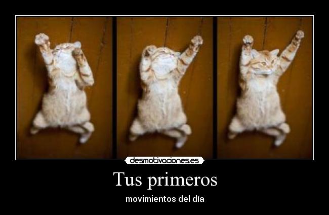 Tus primeros - 