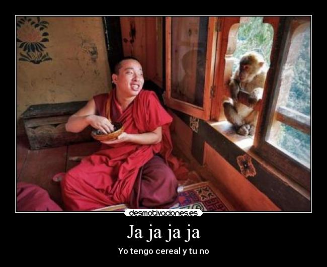 carteles mono monje del tibet desmotivaciones