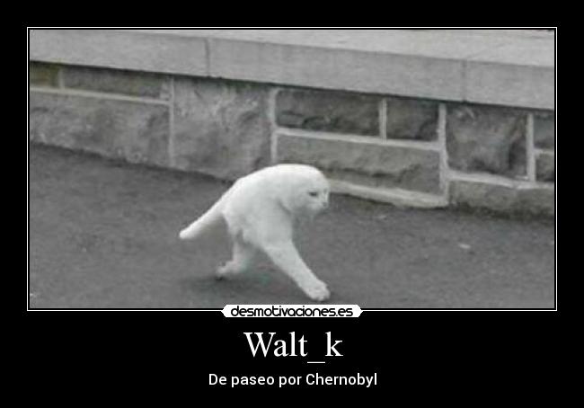 Walt_k - De paseo por Chernobyl