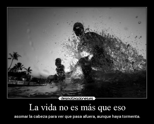 La vida no es más que eso - asomar la cabeza para ver que pasa afuera, aunque haya tormenta.