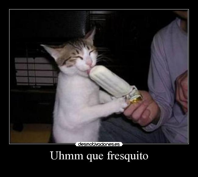 carteles fdfd desmotivaciones