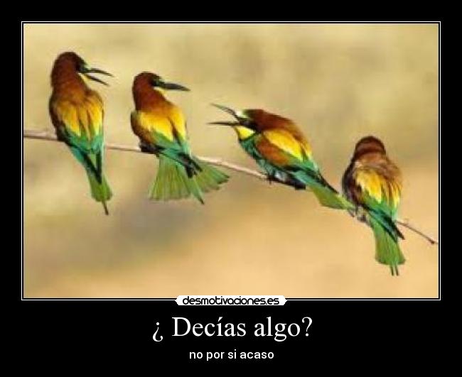 carteles wer desmotivaciones